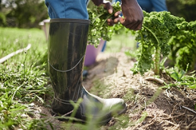 Preventing Foot Pain While Gardening With Proper Footwear